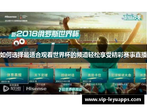 如何选择最适合观看世界杯的频道轻松享受精彩赛事直播